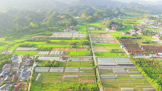 大棚农业蔬菜种植基地