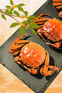 螃蟹螃蟹背景图片_秋季美食大闸蟹螃蟹海鲜背景