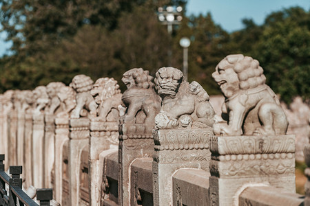 北京旅行摄影照片_红色旅行白天卢沟桥的石狮子户外无摄影图配图