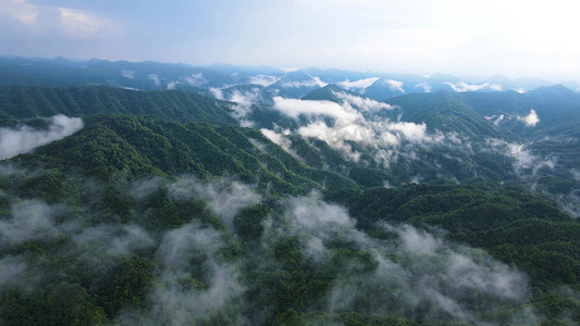 风景重庆四面山森林大自然云雾缭绕自然风光自然风景大好河山