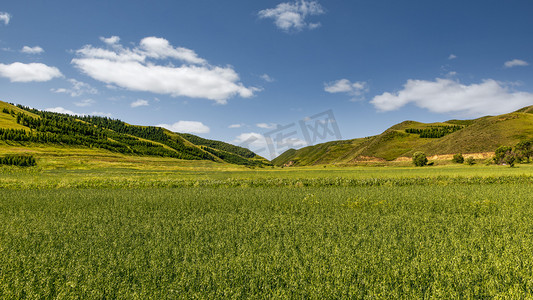 草原山峦上午草原夏季素材摄影图配图