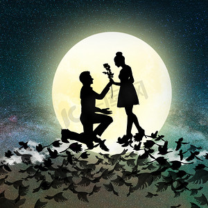 摄影照片_七夕夜晚情侣在鹤桥和月亮下求婚剪影摄影图配图