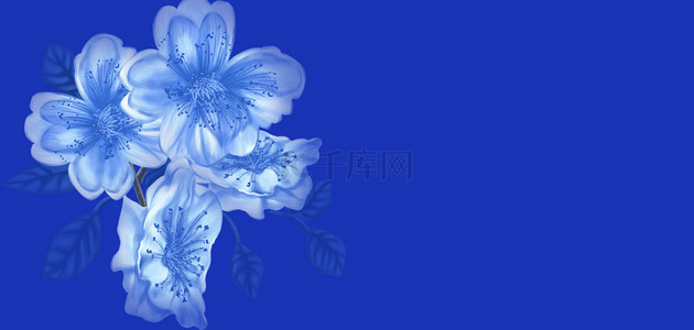 古典蓝花背景图片_克莱因蓝花蓝美丽