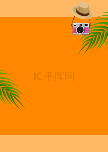 纯色背景图片_橙色质感拼接夏季植物相机背景