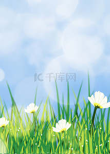 春天花卉绿色草地背景