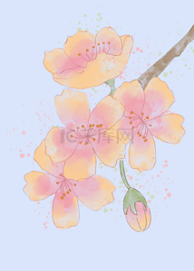粉黄色水彩渐变抽象樱花花朵背景