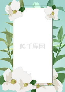 泰国母亲节茉莉花卉方框背景