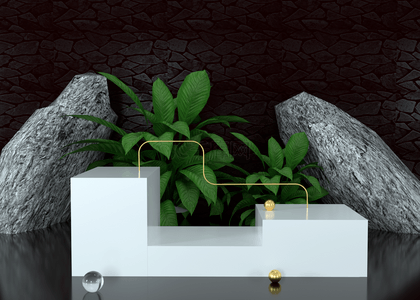 质感黑色岩石背景白色展台和3d颜色植物渲染