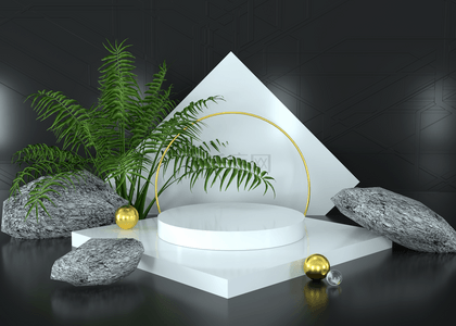 奢华黑色的背景展台和3d植物岩石的渲染