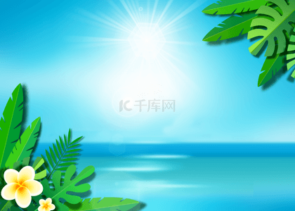 日光植物花朵夏季海滩促销背景