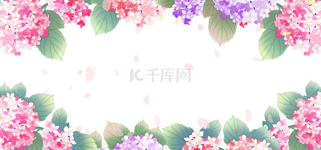 花背景图片_五彩春季花卉背景