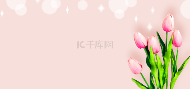 浪漫花卉背景图片_粉色光晕植物花卉背景