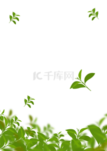 纯色绿色背景图片_简单绿色植物背景