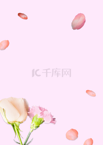 花卉典雅干净粉色背景