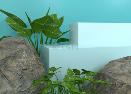 用于电商产品的特写展示台阶3d渲染植物岩石