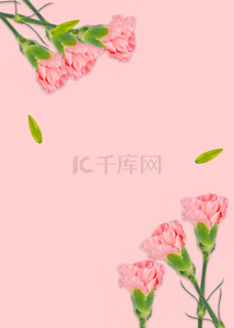 粉色花卉质感简单背景