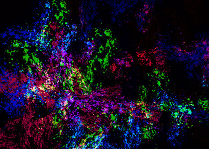 粉末喷洒背景图片_霓虹色喷洒斑点背景装饰画