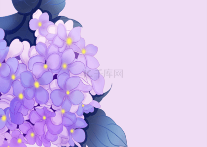 纯色背景图片_紫色干净花卉背景