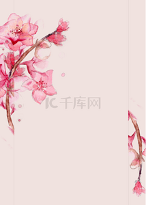 简单浪漫桃花花朵壁纸