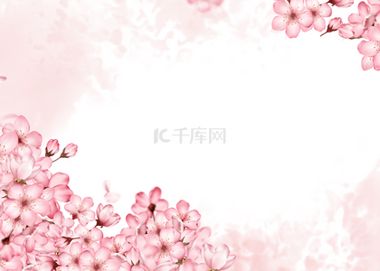 壁纸图片背景图片_粉色樱花盛开背景