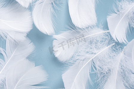 蓝色背景上铺满的白色装饰羽毛摄影图配图