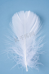 蓝色背景一根柔软的白色羽毛摄影图配图