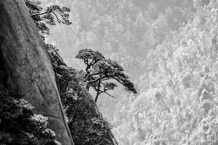 水墨国风上午树木山区摇动摄影图配图