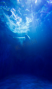 海豚夏天海豚海洋馆游泳摄影图配图