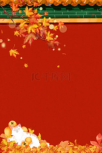 秋天枫叶红色可爱红墙