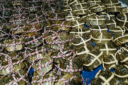 大闸蟹摄影照片_海鲜水产下午活的大闸蟹超市摄影摄影图配图