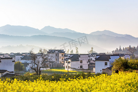 春天旅游上午油菜花山区摇动摄影图配图