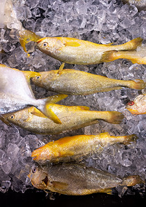 超市水产冰鲜食材黄花鱼摄影图配图