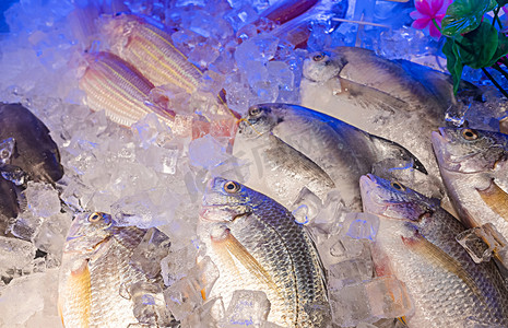 水产冰鲜生鲜鱼类食材摄影图配图
