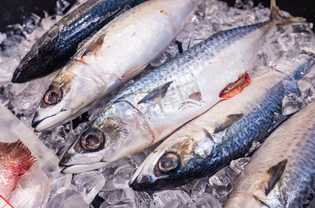 超市生鲜水产冰箱鱼类食材摄影图配图