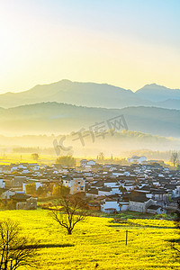 风景黄山风景摄影照片_春天旅游中午油菜花山区摇动摄影图配图