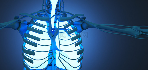 人体医疗背景图片_C4D人体器官 人体器官