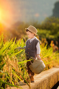 暖阳下小男孩手摸水稻摄影图配图