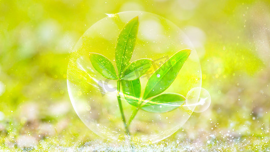 地球绿色家园摄影照片_绿色植物环保发光泡泡白天植物泡泡草地发光摄影图配图