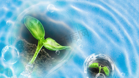 蓝色水纹绿芽生长环保节能白天水纹植物水波动摄影图配图