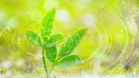 绿色植物透明涟漪白天植物绿色环保节能摄影图配图