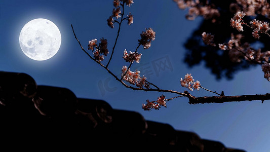 屋檐花枝明月当空中秋美景夜晚月亮鲜花中秋节赏月摄影图配图