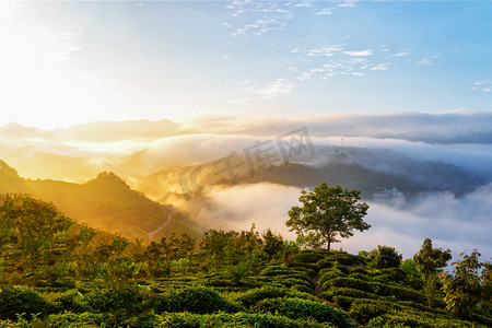 秋天旅游早晨山峰山区飘动摄影图配图