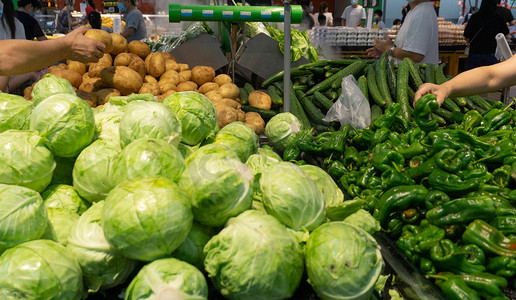 蔬菜超市摄影照片_挑选购物买菜青菜蔬菜摄影图配图