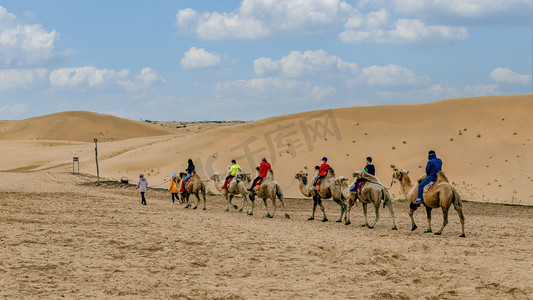 驼队沙漠上午驼队秋季素材摄影图配图