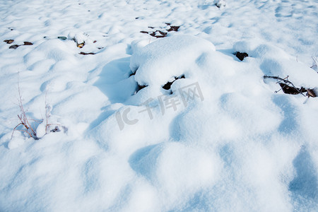 雪景风光摄影照片_下雪冬天白天雪地户外无摄影图配图