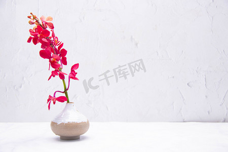 花瓶白天兰花室内花枝摄影图配图