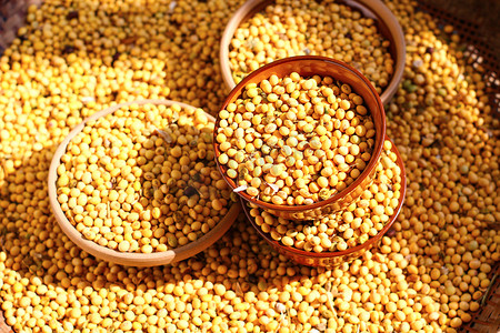 美食晌午黄豆农作物创意摄影图配图