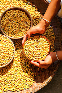 黄豆黄豆粉摄影照片_谷物秋收黄豆农作物创意摄影图配图