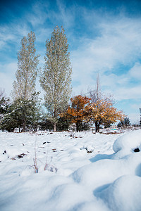 雪景风光摄影照片_雪山白天新疆风光户外无摄影图配图