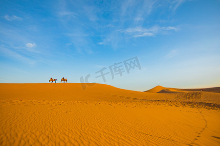 扬州风景摄影照片_自然风景白天沙漠骆驼户外牵着骆驼行走摄影图配图